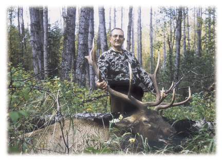 Photo of large elk