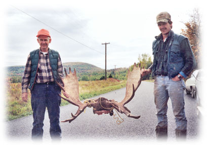 Photo of Moose antlers