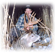 Photo of deer with large antlers